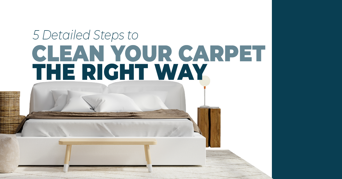 5 Detailed Steps to Clean Your Carpet the Right Way