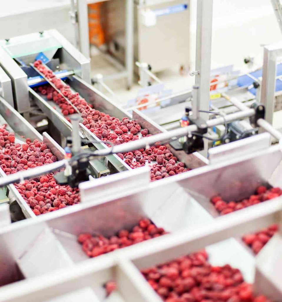 Customised Solutions for Uncompromising Hygiene Food Manufacturing Factory