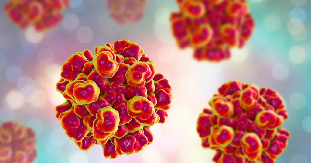 Hepatitis E virus and Food safety