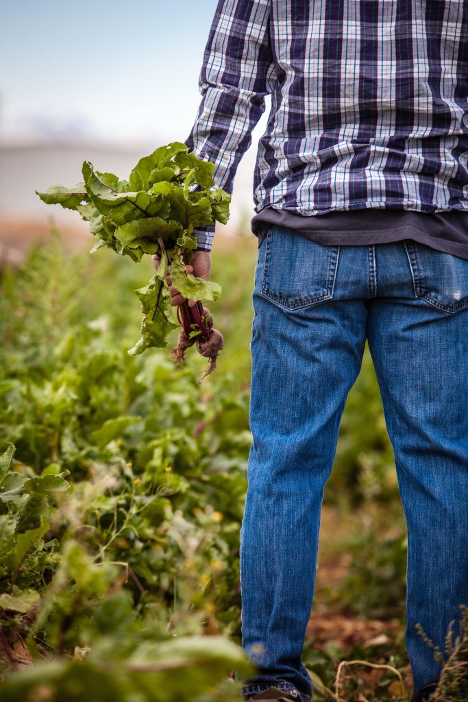 Pesticide removal contamination fruits vegetables surfaces(farmer with crop)