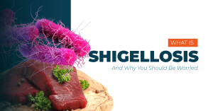What is Shigellosis
