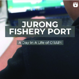 a day in a life of orapi jurong fishery port