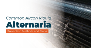 aircon mould alternaria and how to prevent it