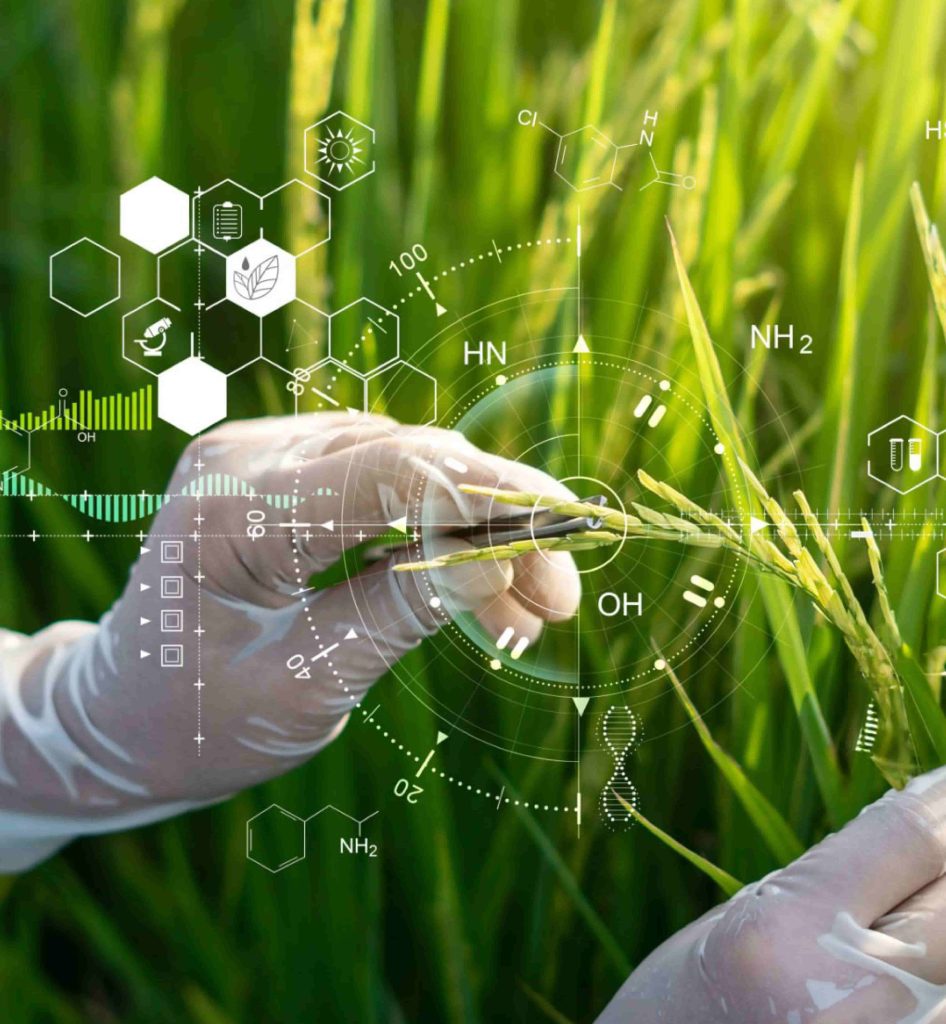 bio-sourced raw material