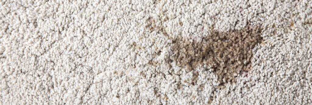 carpet stain remover spray