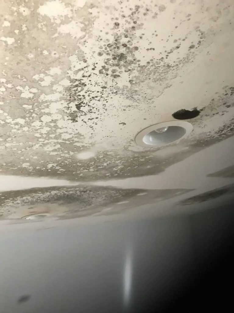 ceiling mould bad odours