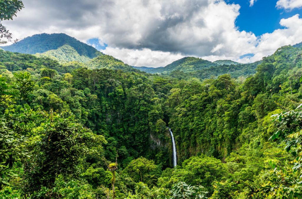 costa rica forests regrowth