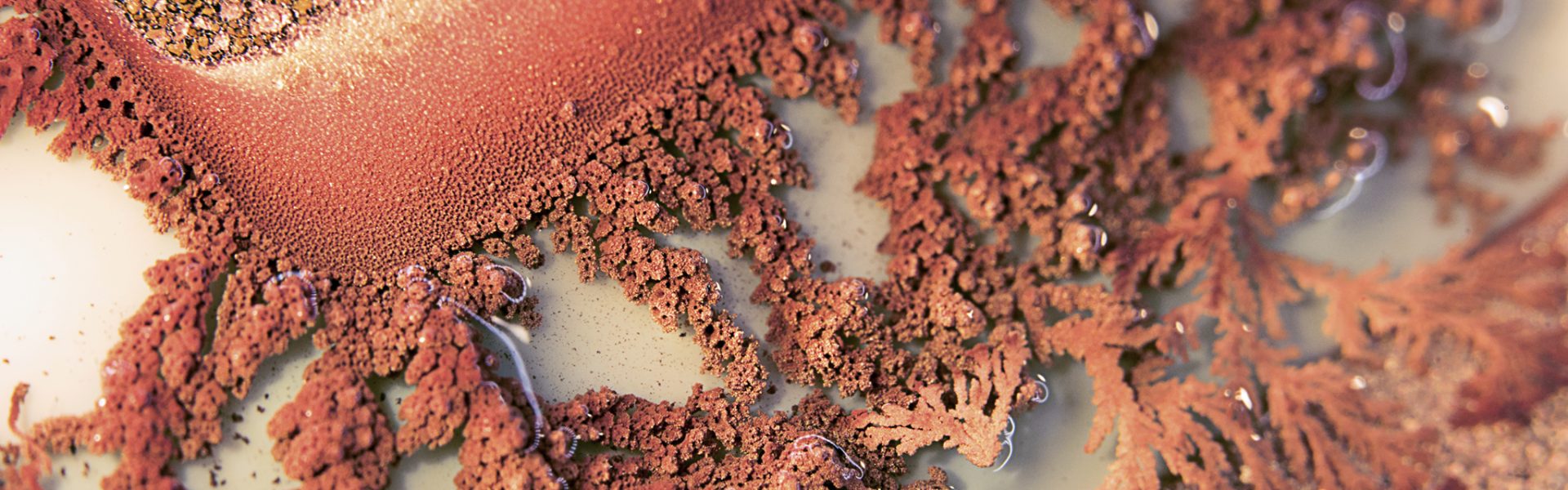 dendrite corrosion