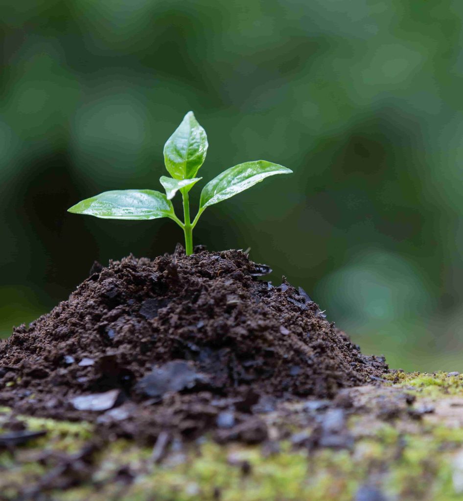 environmentally friendly products