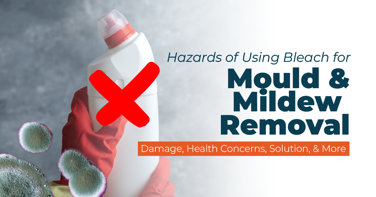 Hazards Of Using Bleach For Mould Removal | ORAPI Asia