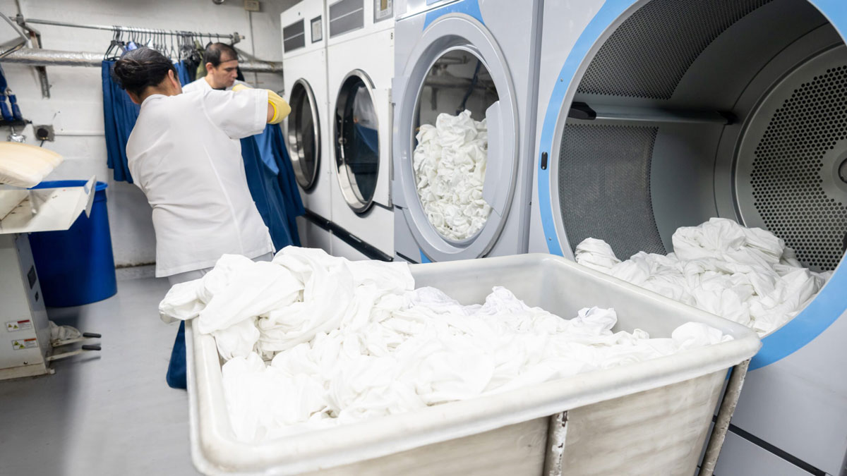 Laundry Solved: Exploring Each Cycle Of Laundry Washing | ORAPI Asia