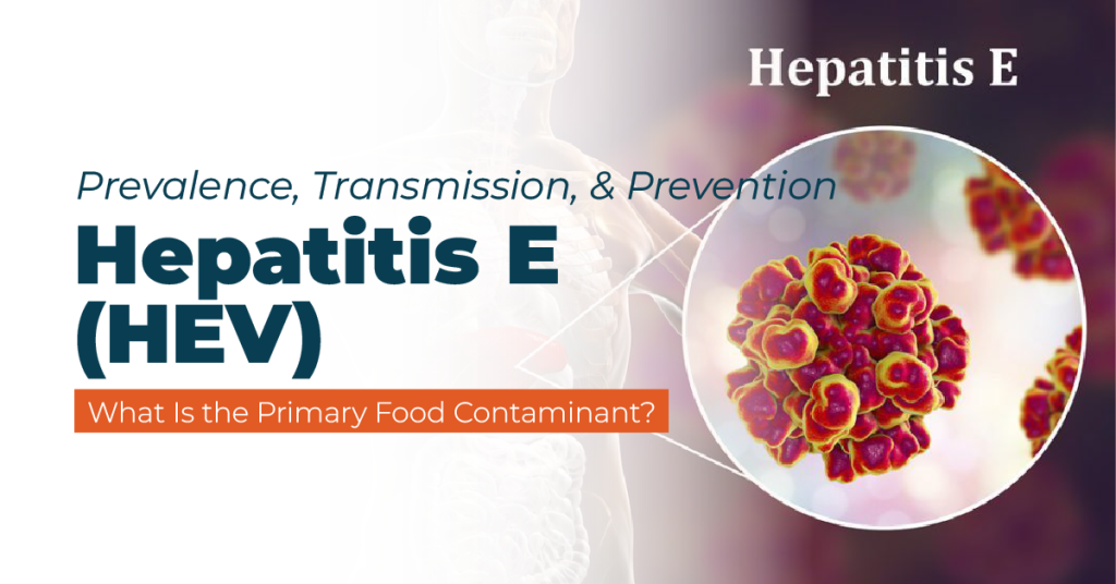 hepatitis e prevalance, transmission, and prevention strategies