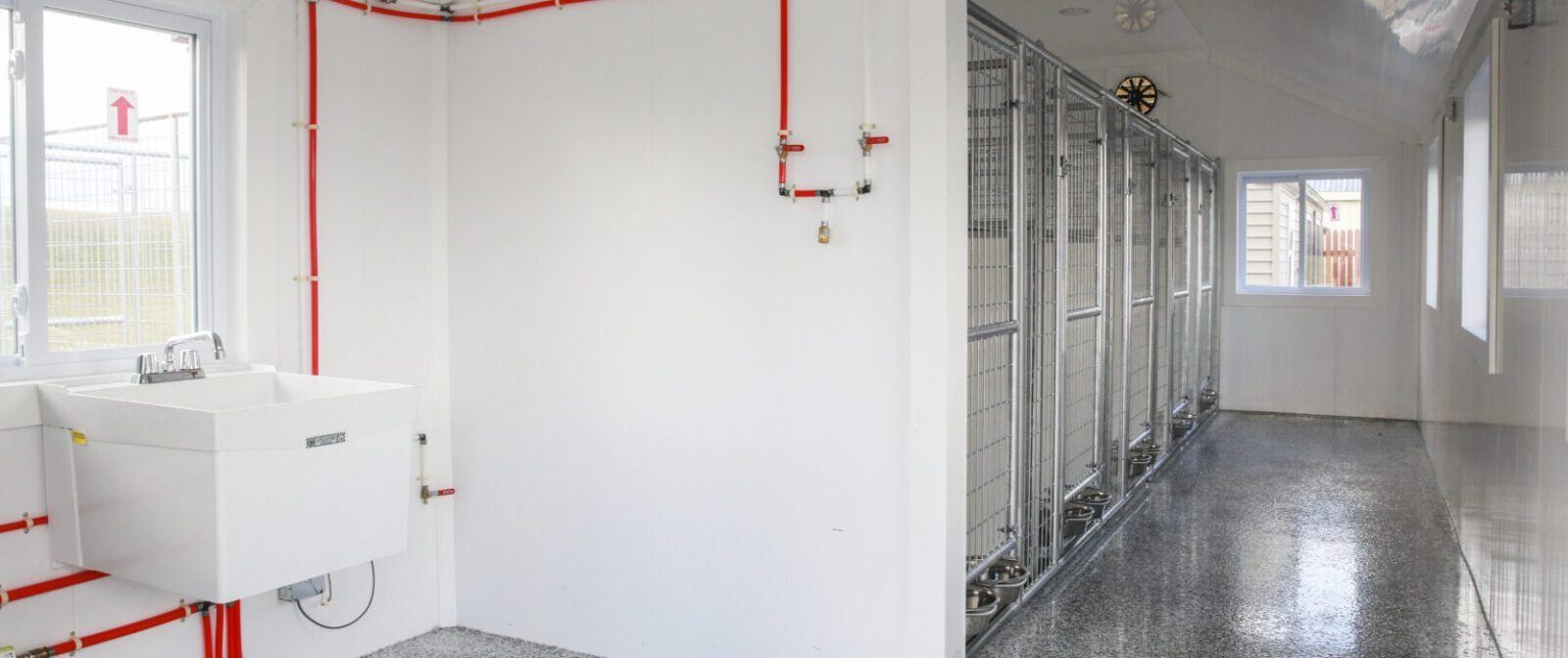 The Pet Friendly Guide to Optimal Kennel Cleaning ORAPI Asia