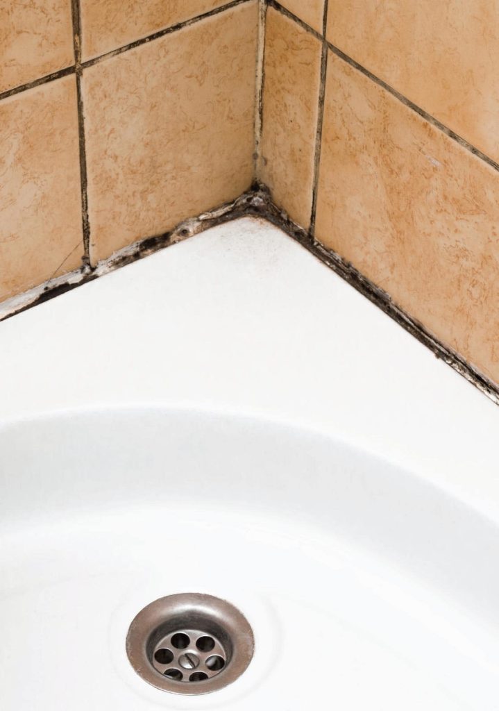 mildew stain on toilet tiles