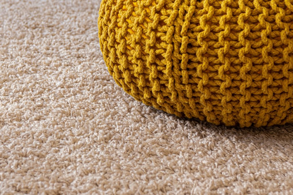 Carpeting, Upholstery, and Fabric Clean Mould