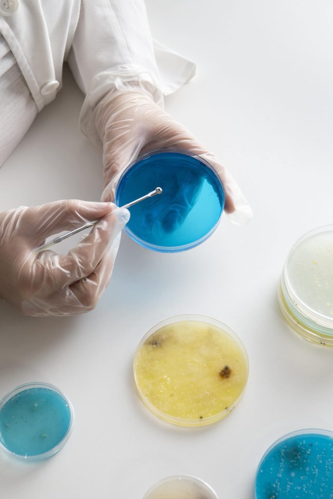 requirements for food safety certification product registration