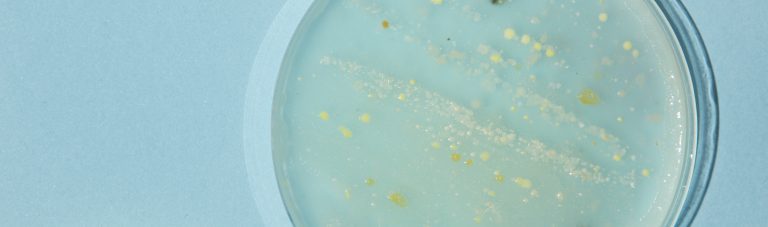 sanitizing and disinfecting biofilms