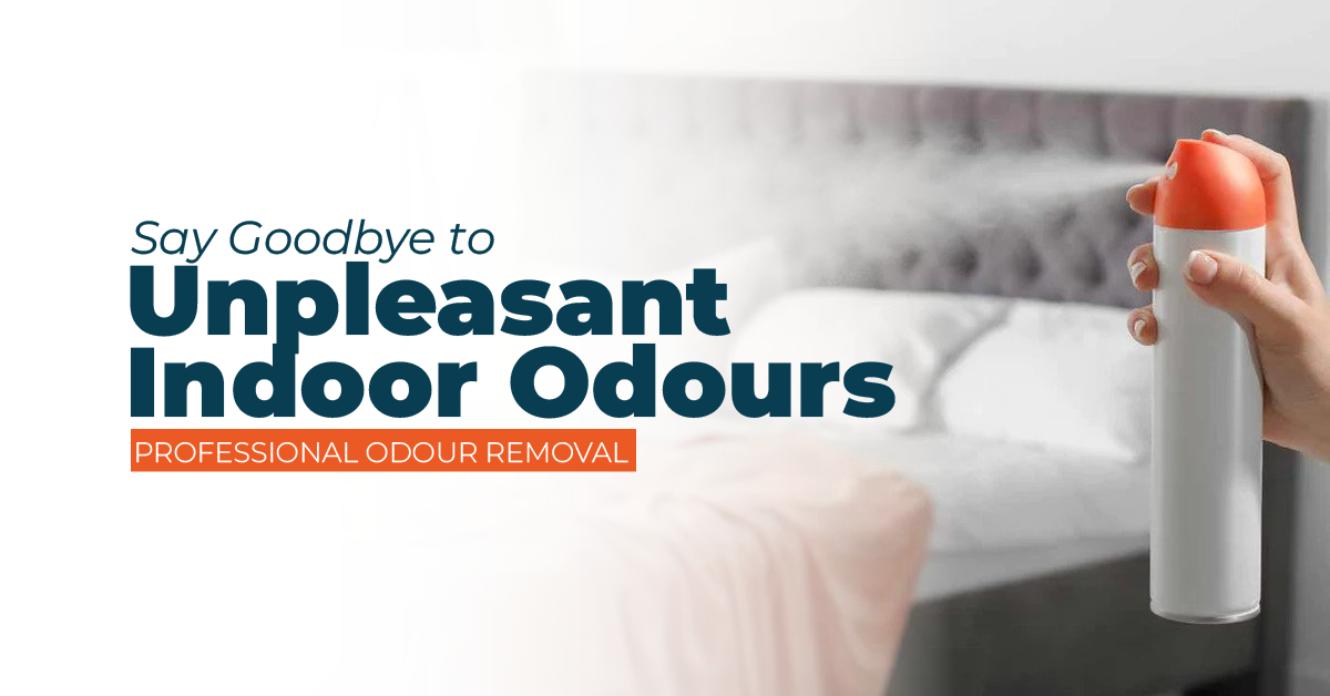 say goodbye to unpleasant indoor odours: professional odour removal