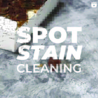 spotcleaning