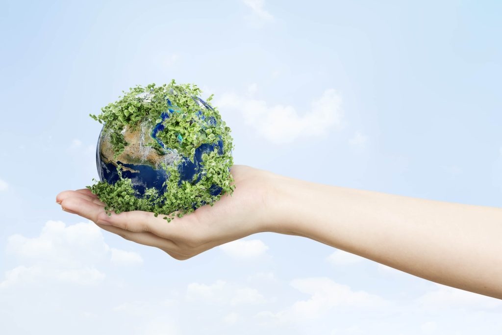 sustainable cleaning to ensure food safety