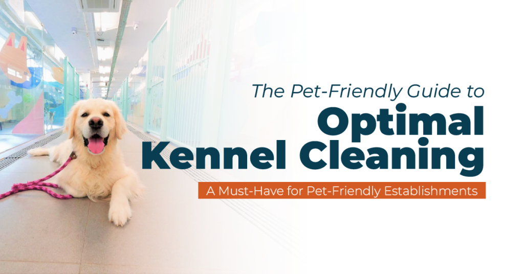 the pet friendly guide to optimal kennel cleaning