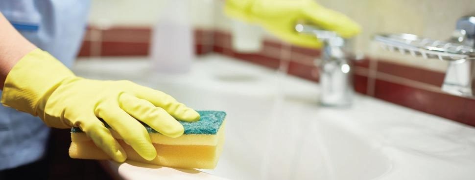 toilet daily cleaning in hospitality