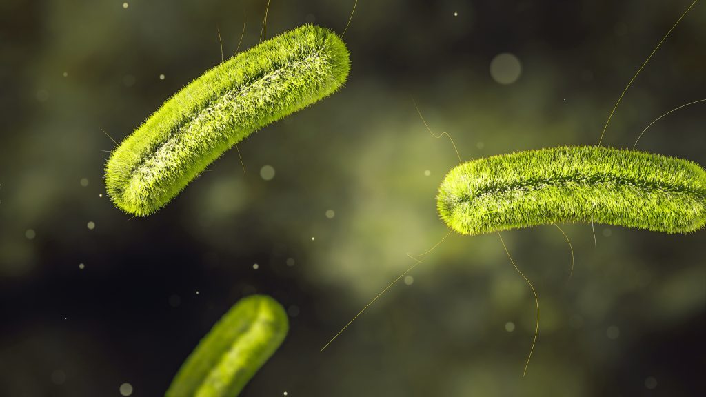 what causes listeria spots in food processing